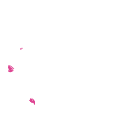 arc-de-cercle-eno-fleurs Texte Eno Fleurs de Qualité pour vos évènements