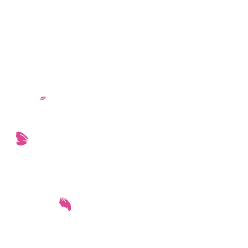 decoraiton_enno_fleurs_arrondi