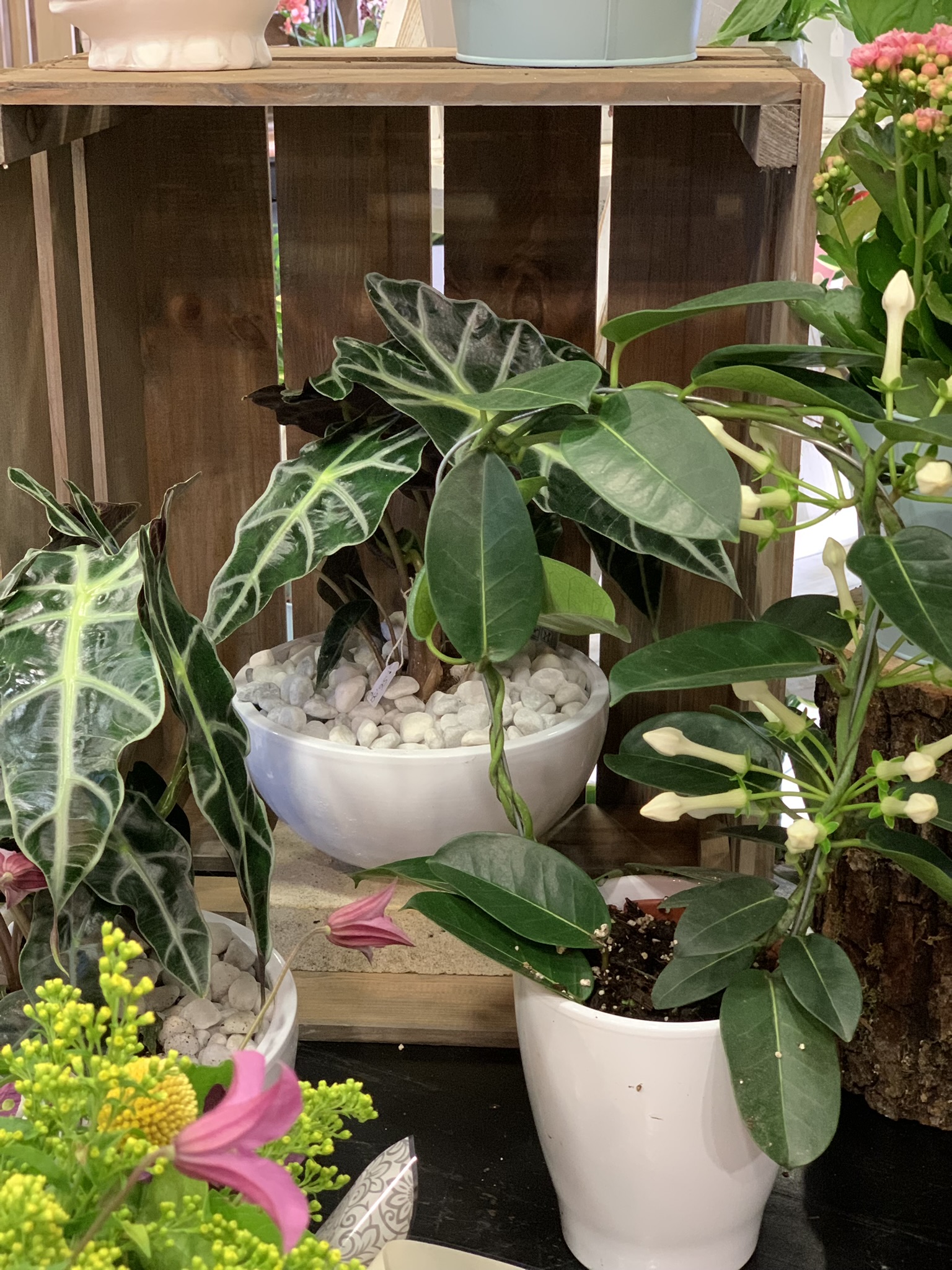 IMG_8357 Déco Eno Fleurs