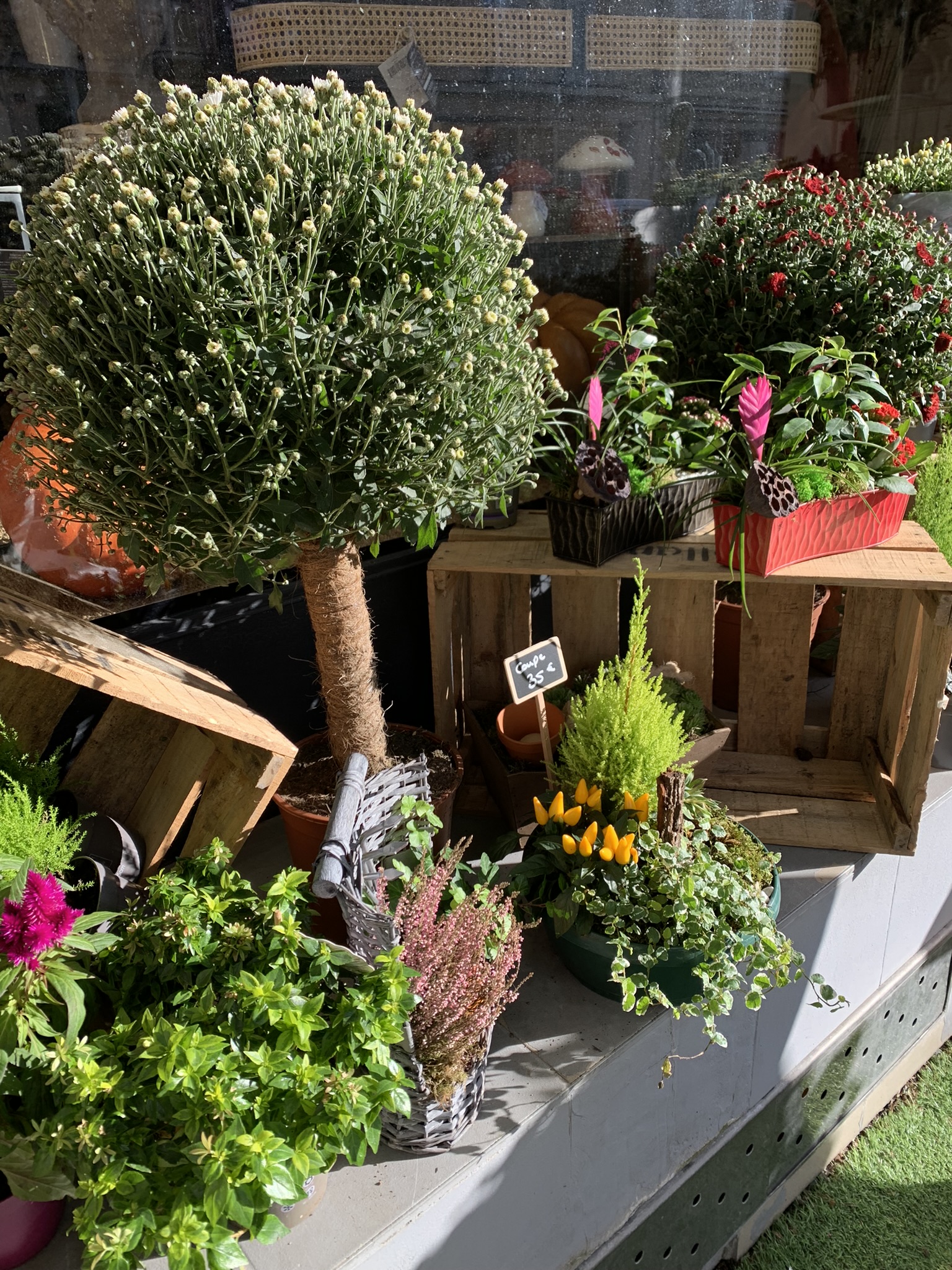 IMG_9320 Fleurs logo toussaint Enofleurs